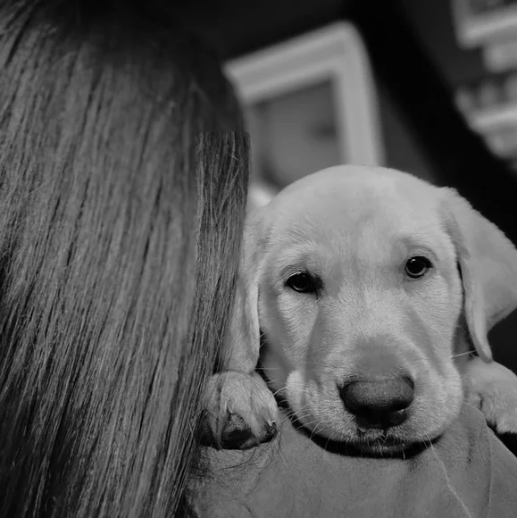 WELCOME ♡ - Picture 10 of 10